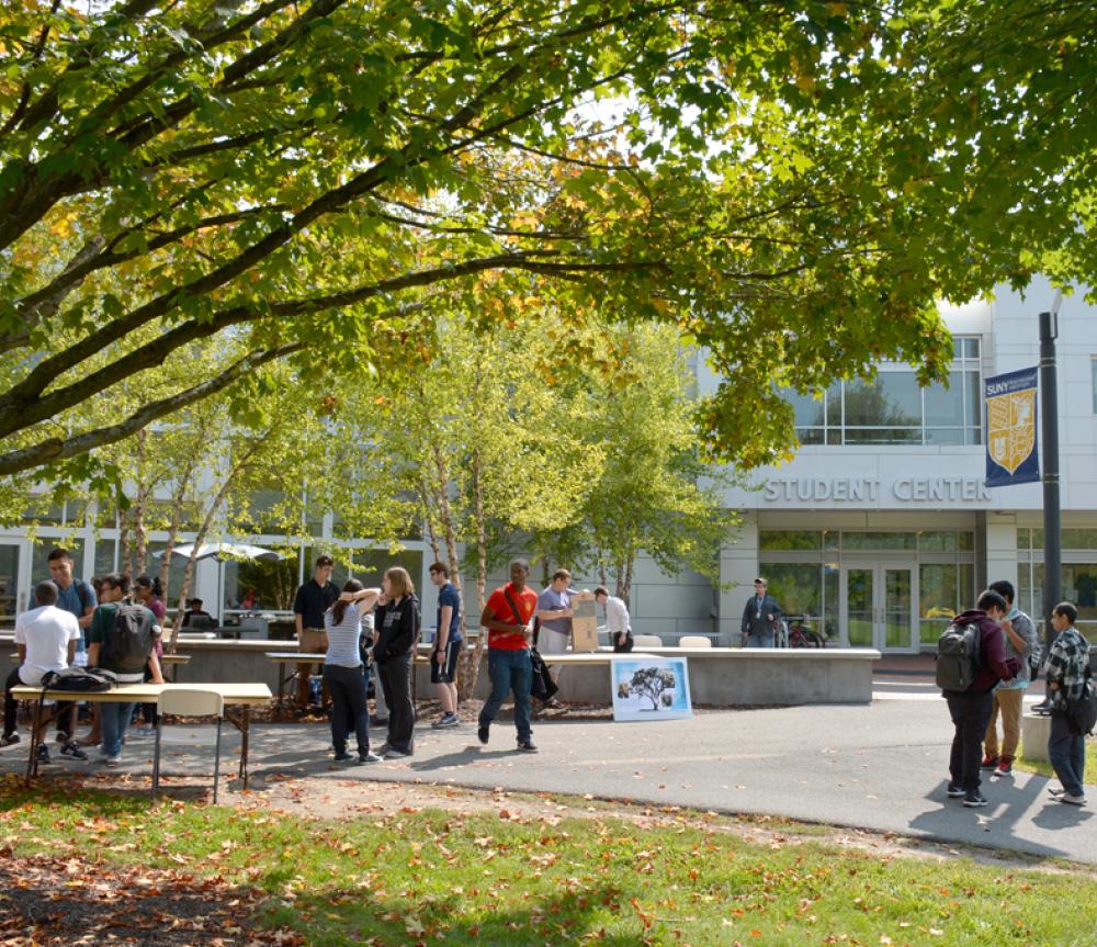 Rome Sentinel SUNY Poly rises in ranking SUNY Polytechnic Institute